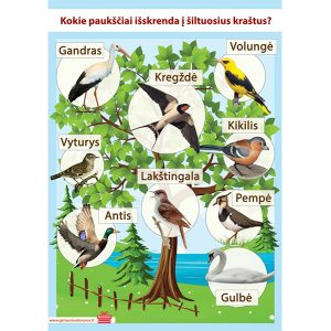 A2 formato plakatas vaikams „Migruojantys paukščiai“